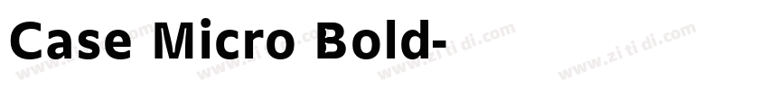 Case Micro Bold字体转换